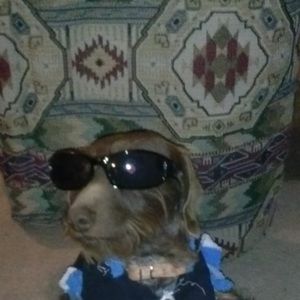 Meet your Posher, Jenny